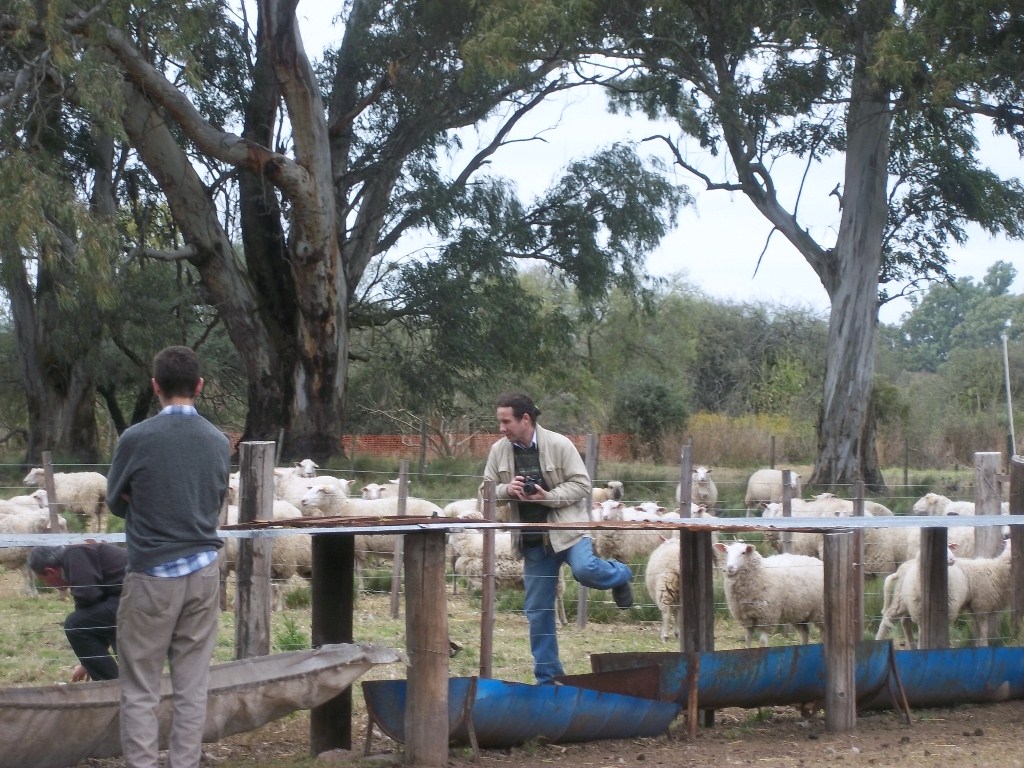 ESCUELA DE AGRICULTURA GANADERIA U GRANJA ESPERANZA