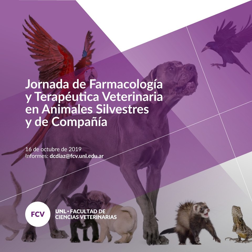 jornada facultad