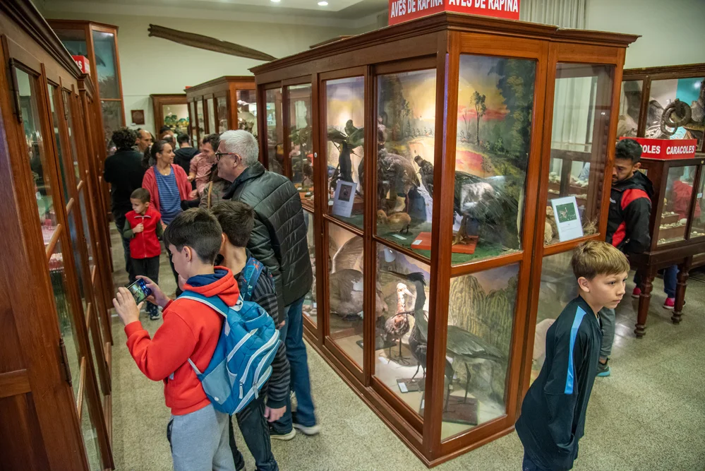 NOCHE DE LOS MUSEOS (1)