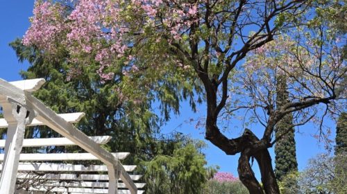 20251009_114759 20251009_114759