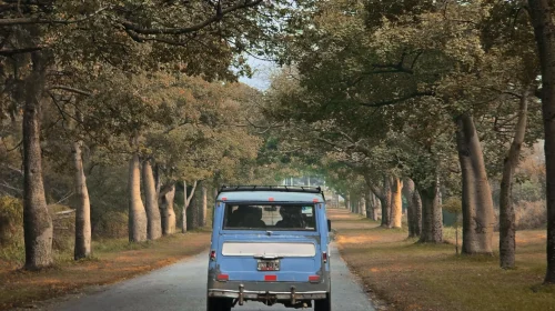 Estanciera 06 a las 13.46.07_b0bf1ad6_11zon (1)