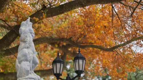 LAS-CARRETAS-20250613_105112