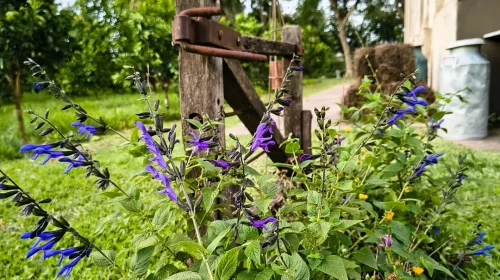 Lo bueno de la ayuda desinteresada es la incertidumbre de no saber, al final, quién tuvo la sue