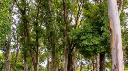 WhatsApp-Image-2024-12-26-at-10.35.18-1