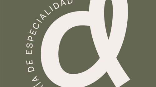 WhatsApp Image 2025-12-15 at 10.48.17