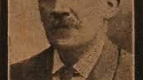 pedro stein